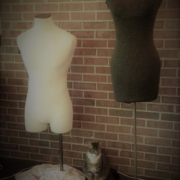 Meet your Posher, Lisa Bloom Owen! - Picture 2 of 3